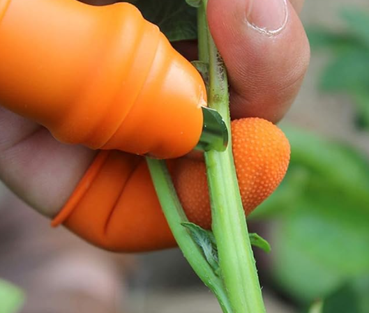 Thumb Knife Silicone Thumb Knife Finger Cutter Cutting Set Vegetables Picker image 3