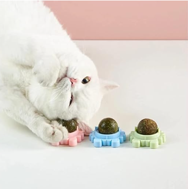 Catnip Wall Toy (1 Pc) – Rotating Catnip Ball for Cats, Healthy Edible Mint Toy for Teeth Cleaning & Chewing, Fun Interactive Play for Kitten (Random)